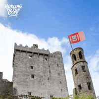 Hurling Httc GIF by Bord Gáis Energy