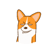 Corgi Shiba Sticker