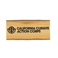 Ccac Sticker by California Volunteers