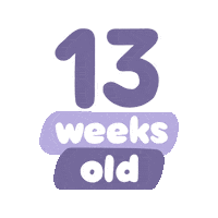 Baby Age Sticker by westeggpress