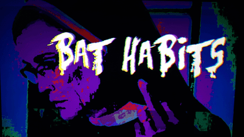 bat habits mov pic <3 GIF