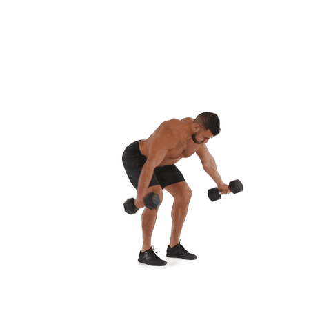 dumbbell reverse fly GIF