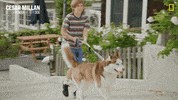 Nat Geo Dog GIF by National Geographic Channel