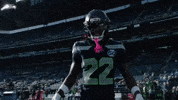 Seattle Seahawks GIF