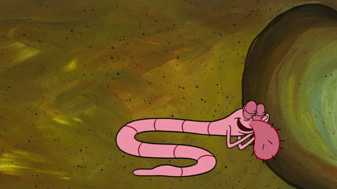 season 10 episode 3 GIF by SpongeBob SquarePants
