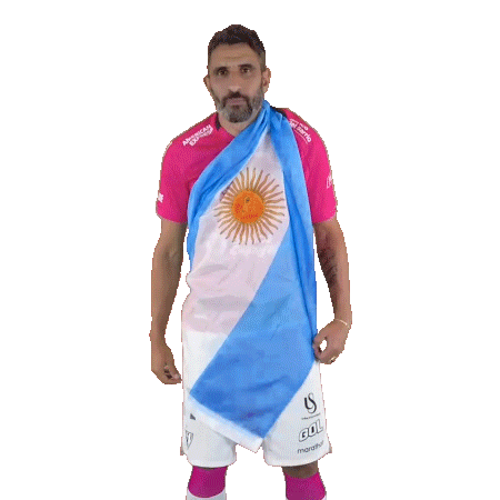 Football Sport Sticker by INDEPENDIENTE DEL VALLE