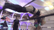 The Siren GIF