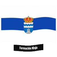 Flag Spain Sticker by Formación Ninja