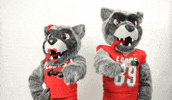 New Mexico Mascots GIF by UNM