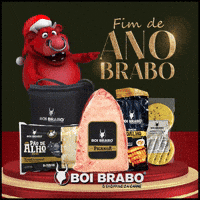 Fim De Ano GIF by Boi Brabo