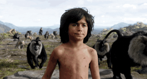 GIF by Disney's The Jungle Book