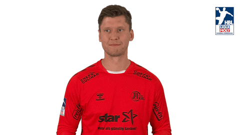 Handball-Bundesliga No GIF by LIQUI MOLY HBL