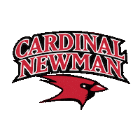 Cardinals Cards Sticker by Cardinal Newman School