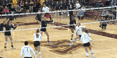 university of minnesota kill GIF by Minnesota Gophers