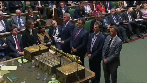 news giphydvr giphynewsinternational brexit parliament GIF