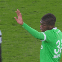 Football Sport GIF by AS Saint-Étienne