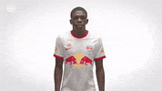 Celebration Yes GIF by FC Red Bull Salzburg