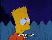 Season 2 GIF by The Simpsons