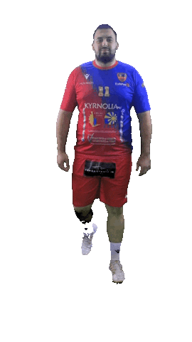 GFCAHandball giphyupload handball handball player bogdan Sticker