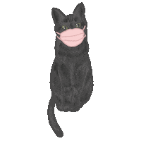 Cat Sticker
