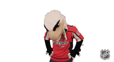 Ice Hockey Reaction GIF by NHL