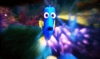 finding dory everyone has already fed this obvsly but i dont care GIF