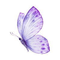 elistorycriativo butterfly voe elistorycriativo borboleta Sticker