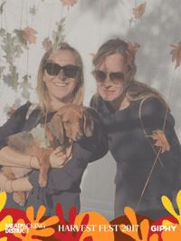 harvestfestny GIF by Meatpacking District