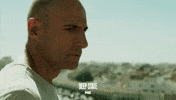 angry fox GIF