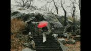Rain Raining GIF by aldn