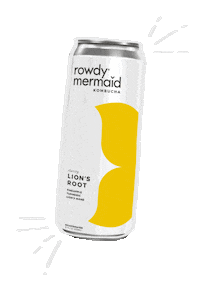 rowdymermaid kombucha kambucha komboocha rowdymermaidkombucha Sticker