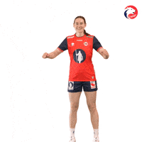 Euro 2024 Handball GIF by Norges Håndballforbund
