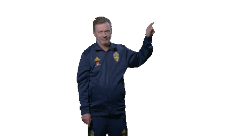 Happy Sport Sticker by Swedish Football Association
