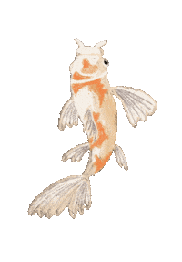 haanaid dog animals orange fish Sticker