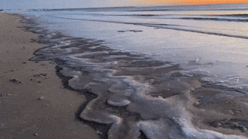 Wavy Frozen Slush Forms on Maine Beach