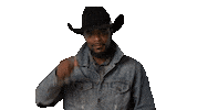 Cowboy Sticker by INSP