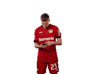 Swiping Bayer 04 Sticker by Bayer 04 Leverkusen