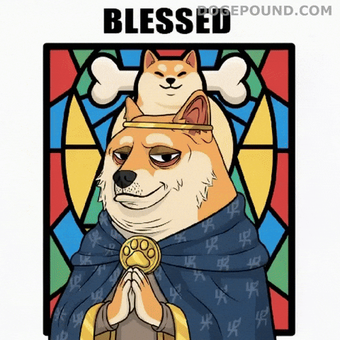 Praying Shiba Inu GIF by Doge Pound