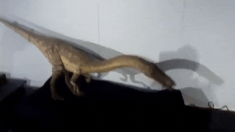 Mugcake giphyupload dinosaur 2011 2010s GIF