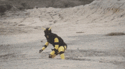 people-vultures GIF by King Gizzard & The Lizard Wizard