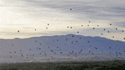 Taking Time-Lapse GIF