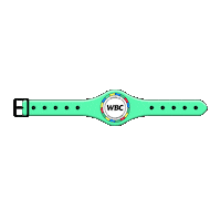 wbcboxinggiphy win best winner boxing Sticker
