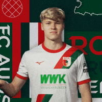 Bundesliga Waving GIF by FC Augsburg 1907