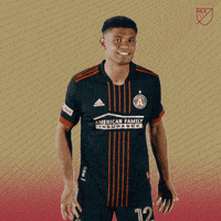 Cant Hear You Stand Up GIF by Major League Soccer