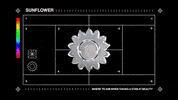New Music Flowers GIF by Briston Maroney