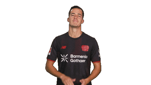 Bayer Leverkusen Sticker by Bundesliga