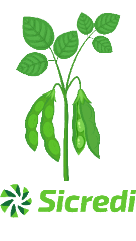sicredisudoestemtpara giphyupload soja sicredi sudoeste sicredi sudoeste agro Sticker