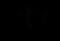 GIF by Explorer Tours