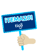 festival concierto Sticker by Tigo Paraguay