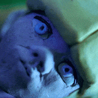 Confused Girl GIF by GUNSHIP